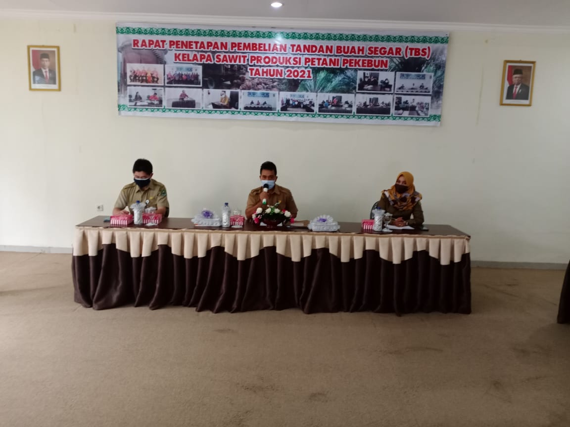 Harga TBS Kelapa Sawit Kalteng Periode Juni 2021 Turun
