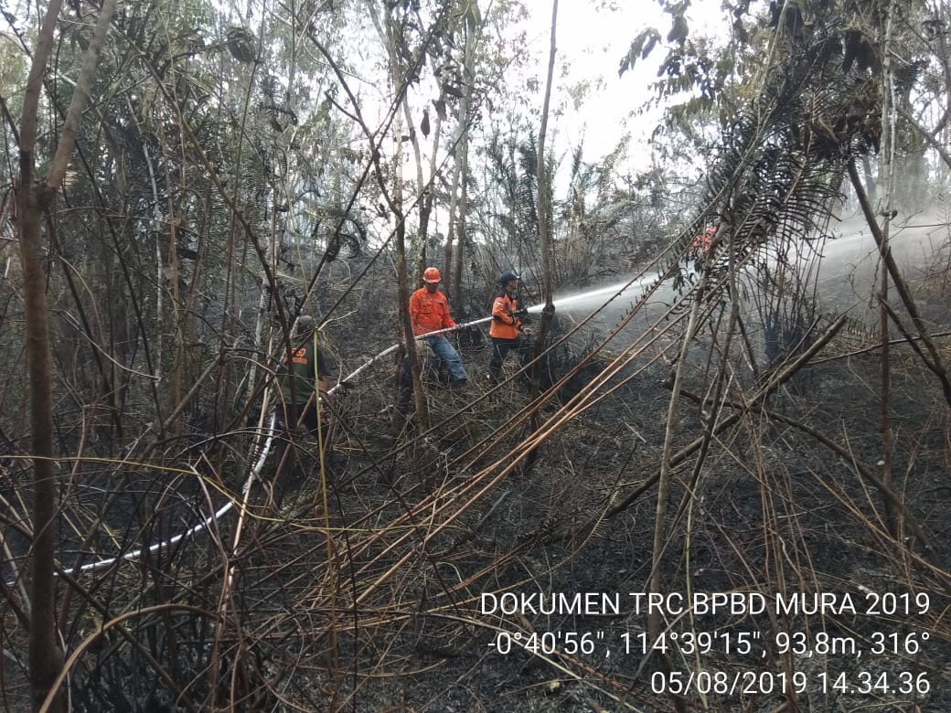 Penanggulangan Kebakaran Hutan di Desa Danau Usung