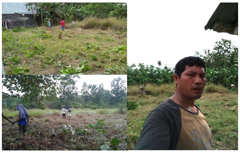 Percepat Progres Desa Mandiri Benih, LEM Kobar Siapkan Lahan Kebun Entrees 3 Ha