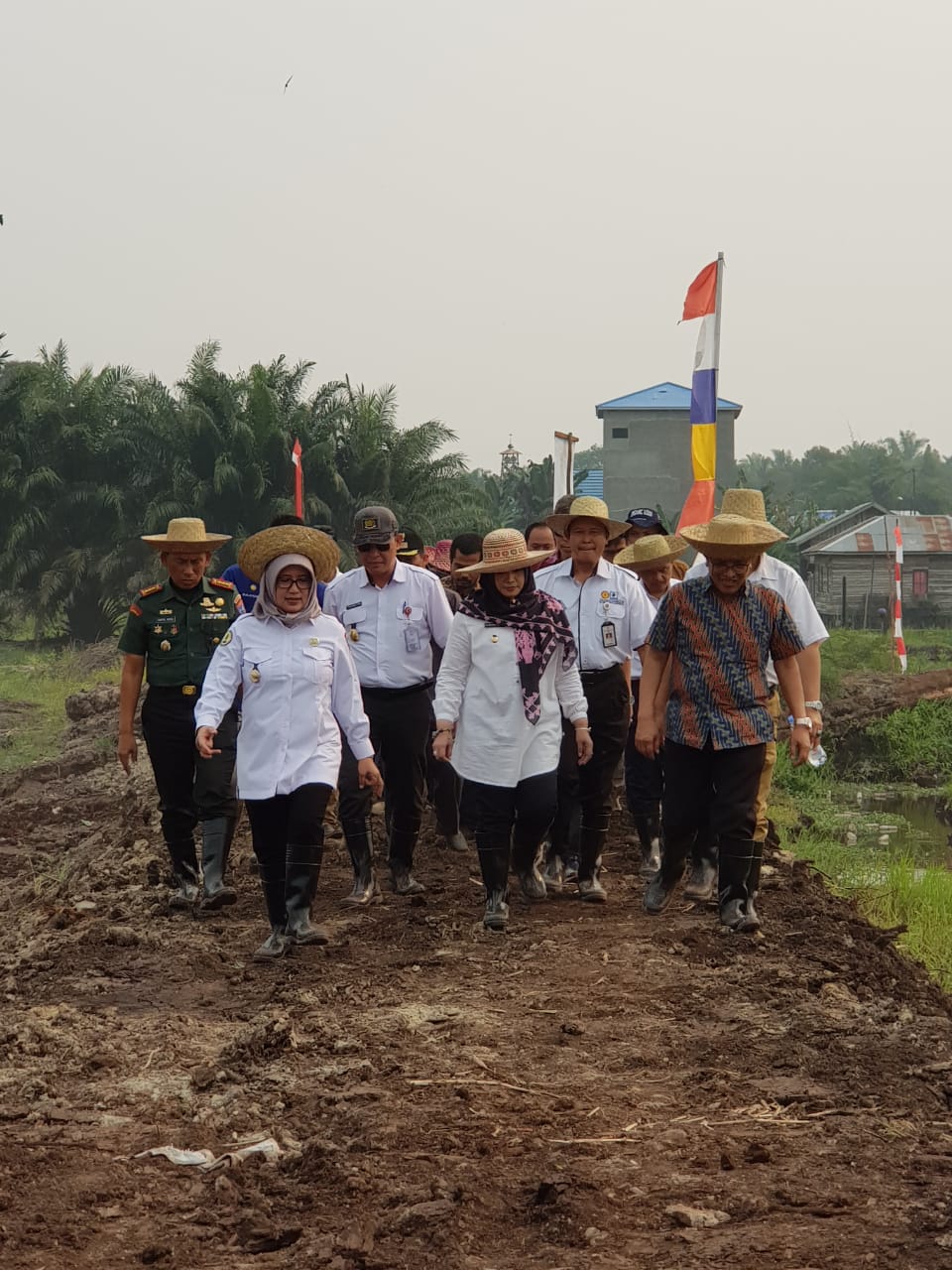 Irjen Kementerian Pertanian Bersama Kadis TPHP Prov Kalteng Tinjau Lokasi Gerakan Percepatan Tanam Padi Di Lahan Gambut Kota Palangka Raya