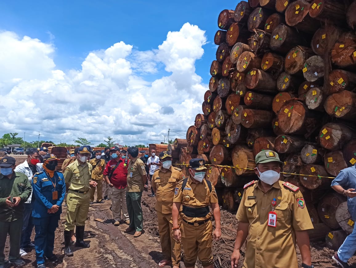 Pemprov Kalteng Segel Ribuan Kayu Log Diduga Ilegal, Dinas Kehutan Masih Cek Kejelasan Perizinan