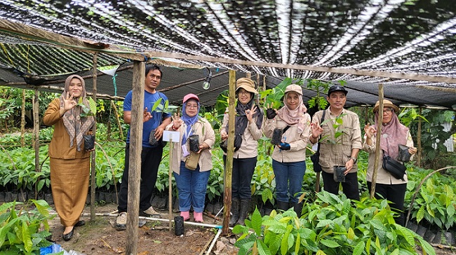 Dukung Pengembangan Kakao di Kalteng, Disbun Siap Salurkan Bibit Kakao Unggul