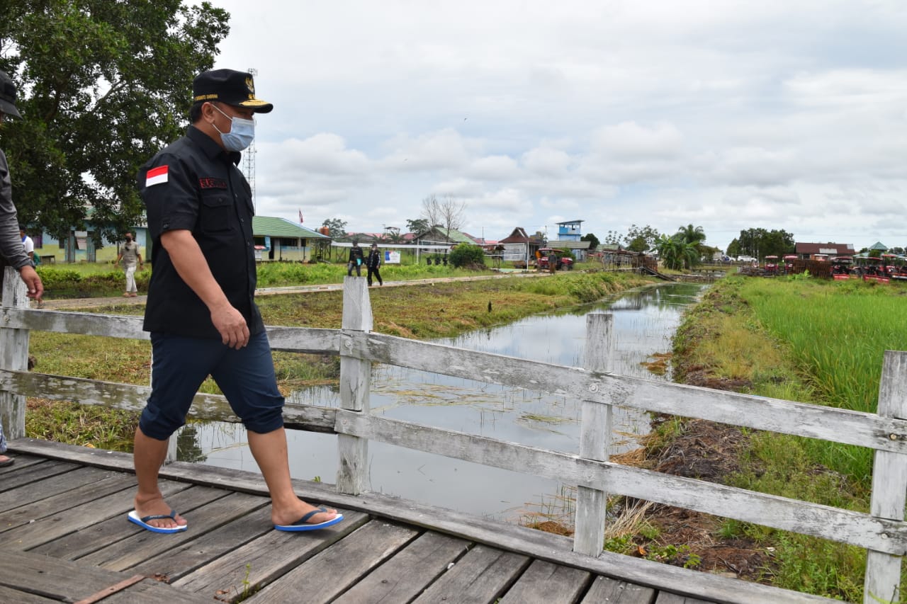 Pastikan Program Food Estate Berhasil, Gubernur Kalteng Tinjau Infrastruktur Pertanian di Dadahup, Kapuas