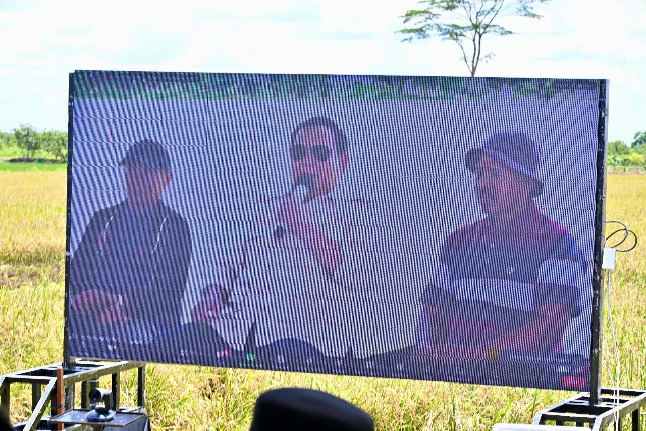 Kadis PMD Prov. Kalteng Hadiri Acara Panen Raya Padi di Desa Pantik, Kabupaten Pulang Pisau