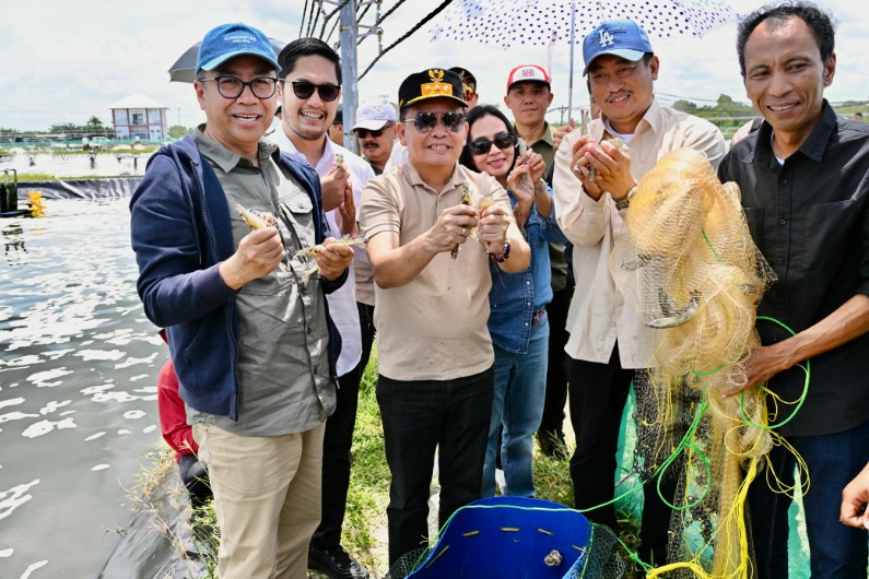Kepala BAPPERIDA Kalteng Dampingi Gubernur Kalteng Tinjau Pengembangan Shrimp Estate Sukamara