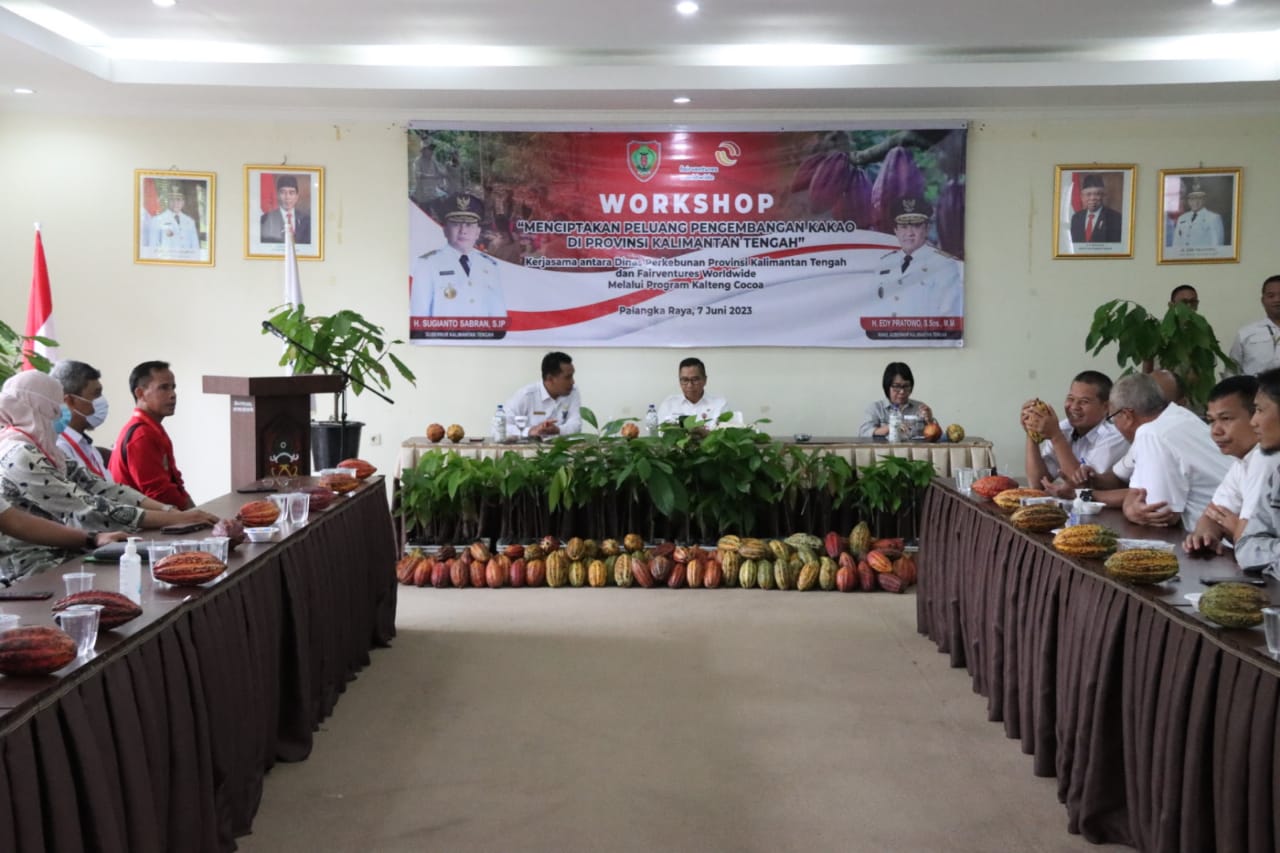 Asisten Ekbang Leonard S. Ampung Buka Workshop dan Pelatihan Budidaya Kakao 