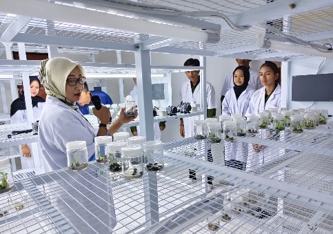 Kunjungan Lapangan Mahasiswa UMPR ke UPT Dinas TPHP Kalteng Tingkatkan Pemahaman Pemuliaan Tanaman