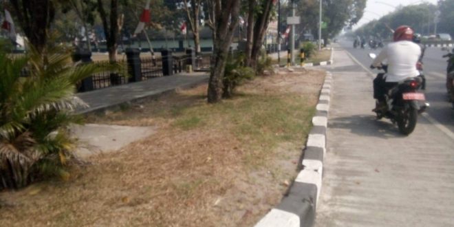 Musim Kemarau Intensifkan Perawatan Taman