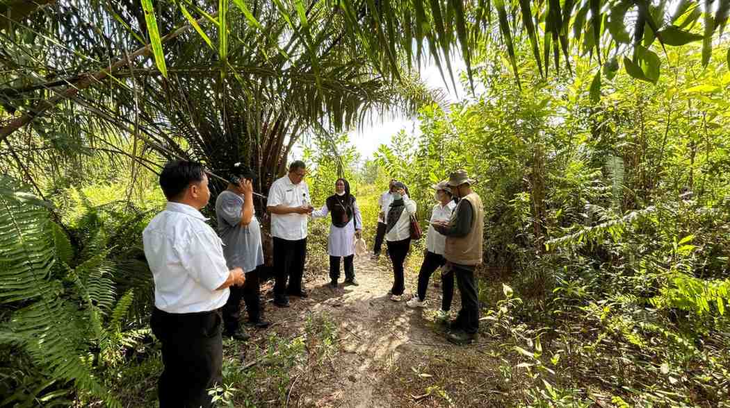 DPMPTSP Prov. Kalteng Tinjau Calon Lokasi Peluang Investasi di Kota Palangka Raya