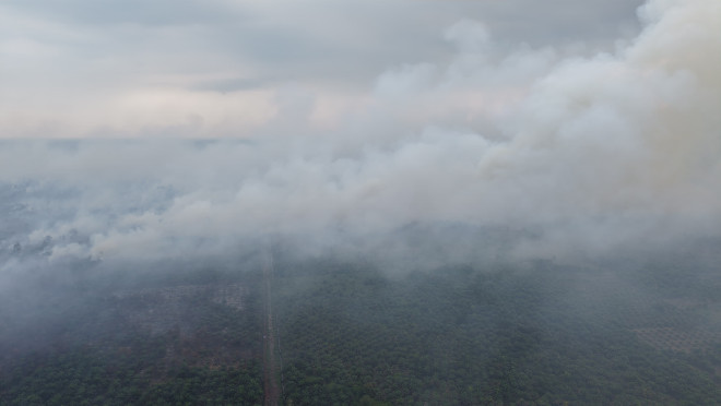 Drone Pantau Karhutla Km 18–19 Pangkalan Bun–Kolam, Tim Siaga Perkuat Deteksi Titik Api