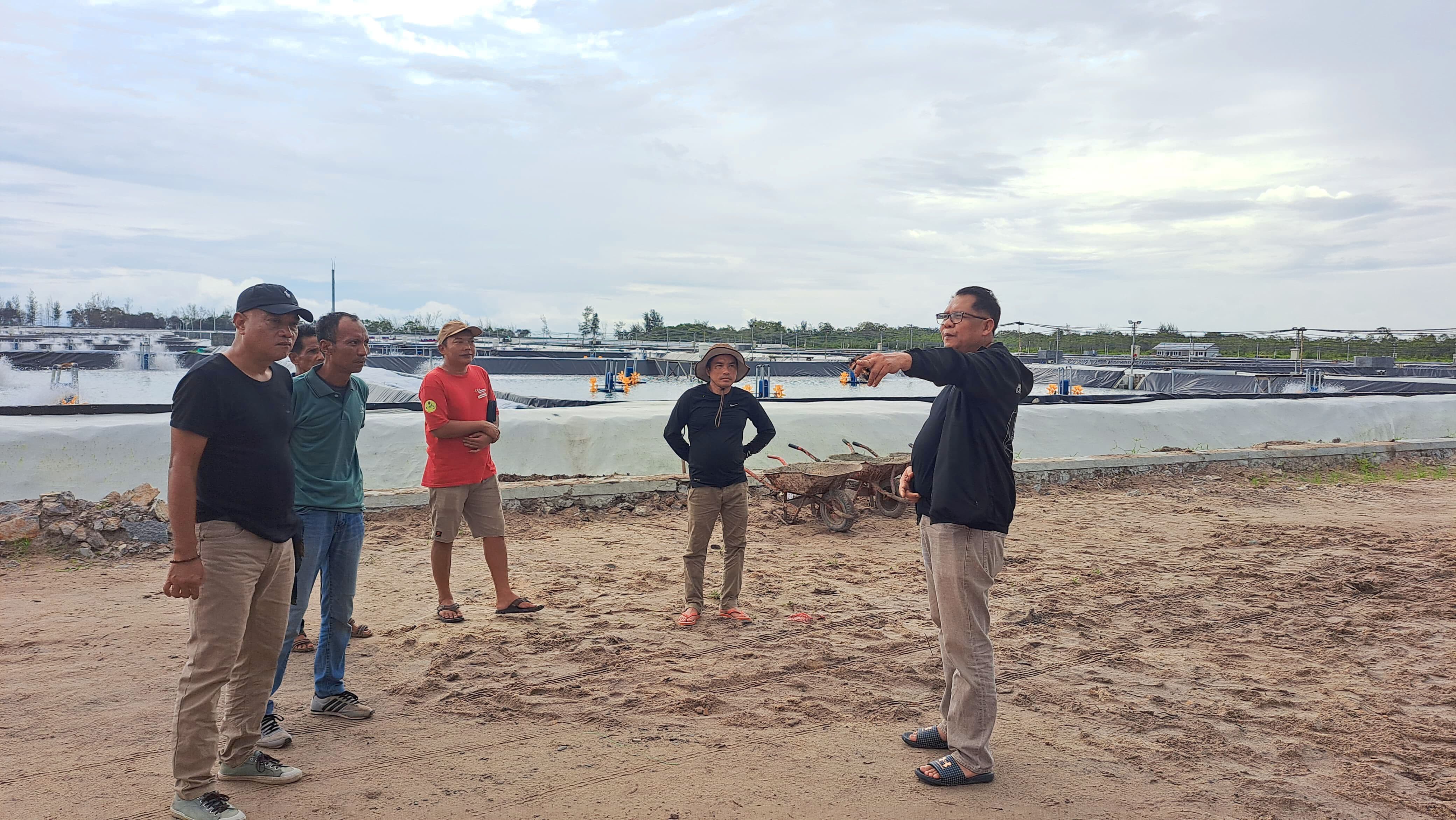 Kepala Dislutkan Lakukan Pengecekan Kesiapan Tebar Perdana Benur Udang Vaname di Shrimp Estate BERKAH