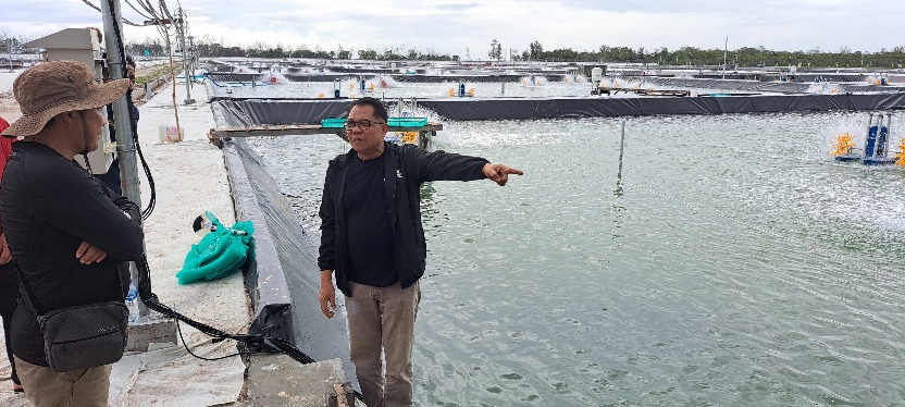 Kepala Dislutkan Lakukan Pengecekan Kesiapan Tebar Perdana Benur Udang Vaname di Shrimp Estate BERKAH