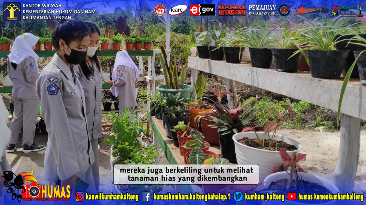 Sehari Setelah Diresmikan, Agrowisata Gawi Barinjam Lapas Sukamara Terus Kedatangan Pengunjung