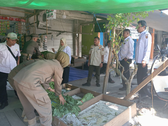 Satpol PP Kobar Tertibkan PKL