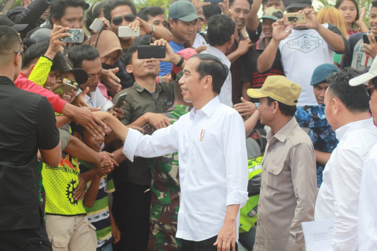 Tinjau Gunung Mas, Presiden Pantau Dari Atas Bukit Nyuling