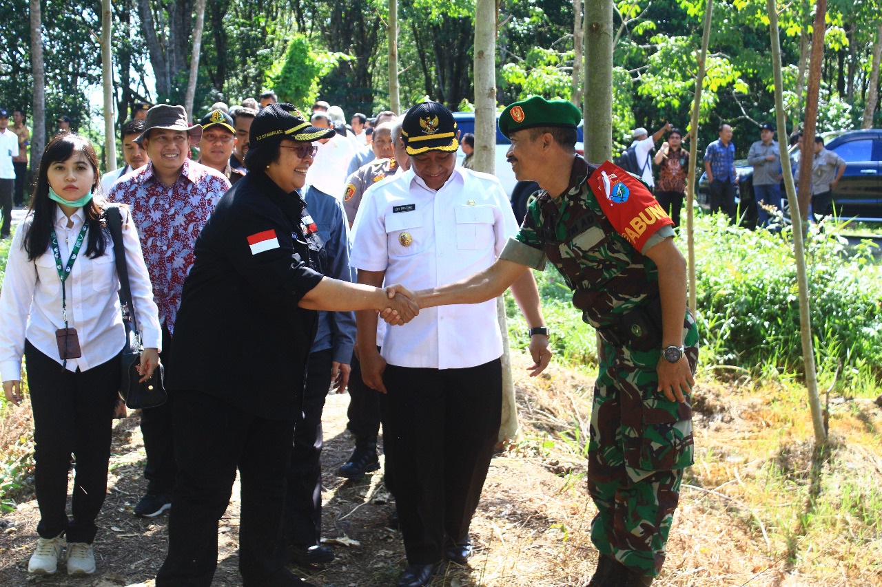 Menteri LHK Lakukan Kunker ke Pulang Pisau