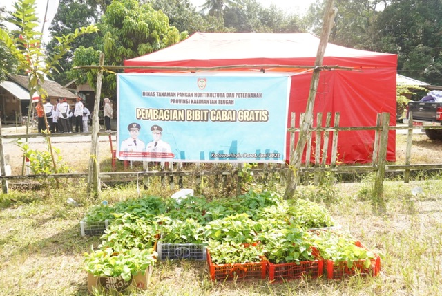 Ketua TP Posyandu Kalteng Sosialisasikan 6 SPM di Posyandu Riam Durian, Dorong Transformasi Layanan Dasar Terintegrasi