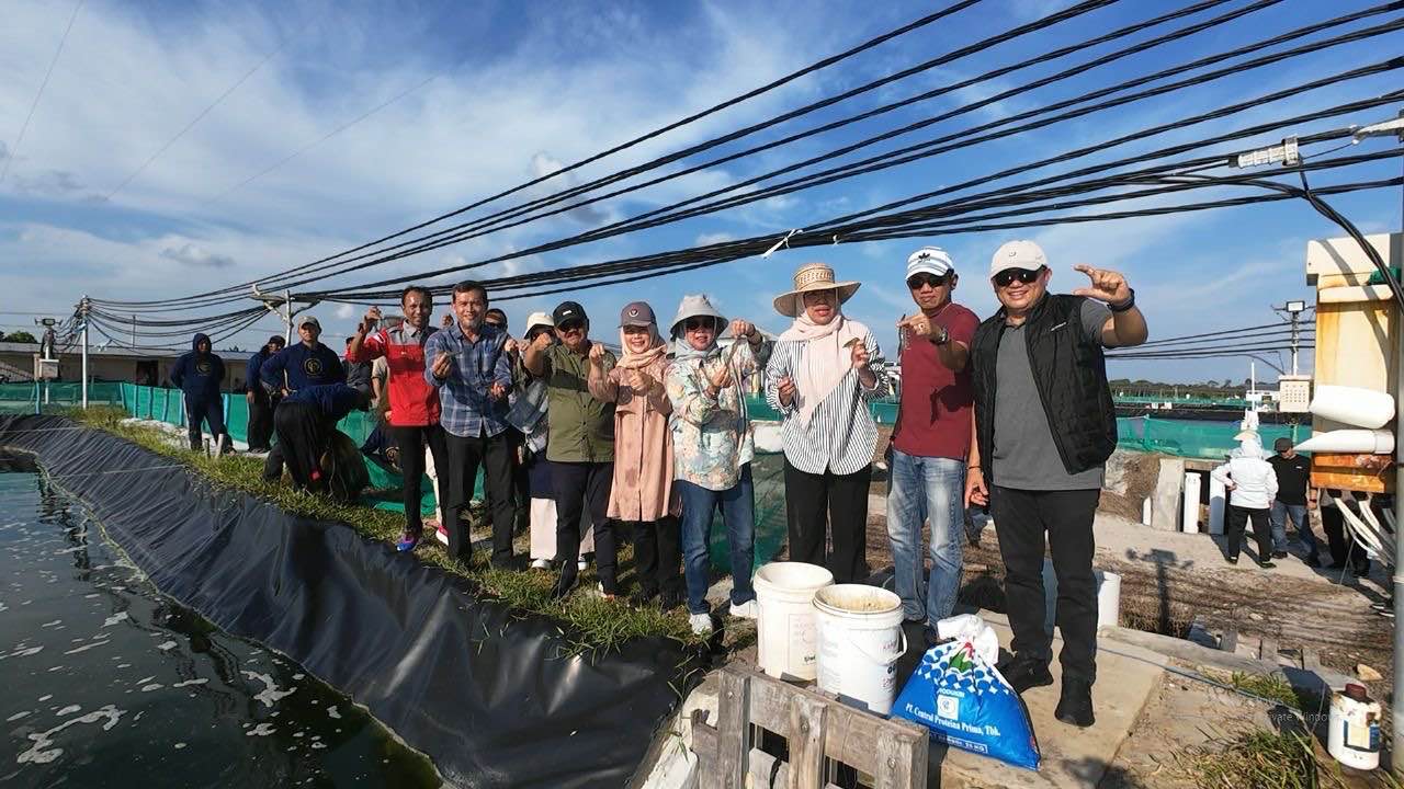 Shrimp Estate Berkah, Wujud Nyata Visi Gubernur Kalteng di Sektor Perikanan