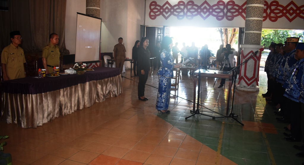 Pengurus Dekranasda Kabupaten Kapuas Resmi Dilantik