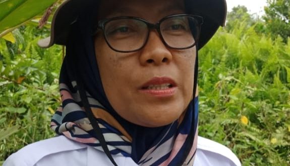 Gebyar Kecapi Pecahkan Rekor MURI Bakal Ramaikan HUT Kota Cantik