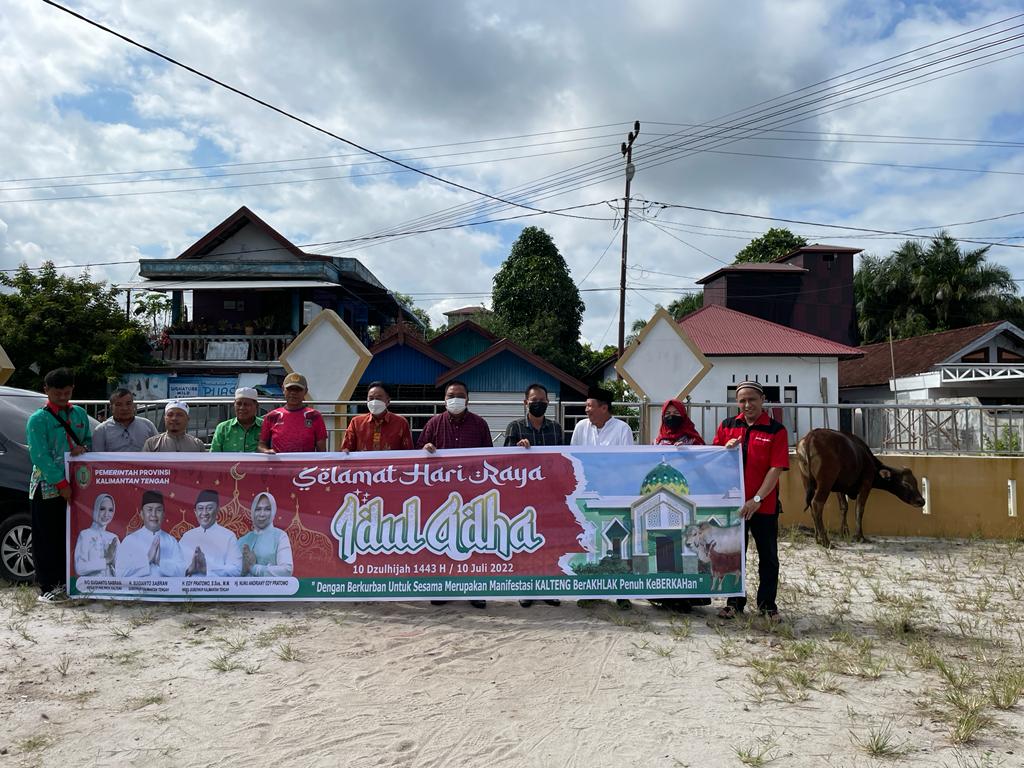 Sahli Suhaemi Wakili Gubernur Serahkan Bantuan Sapi Kurban untuk Kabupaten Katingan