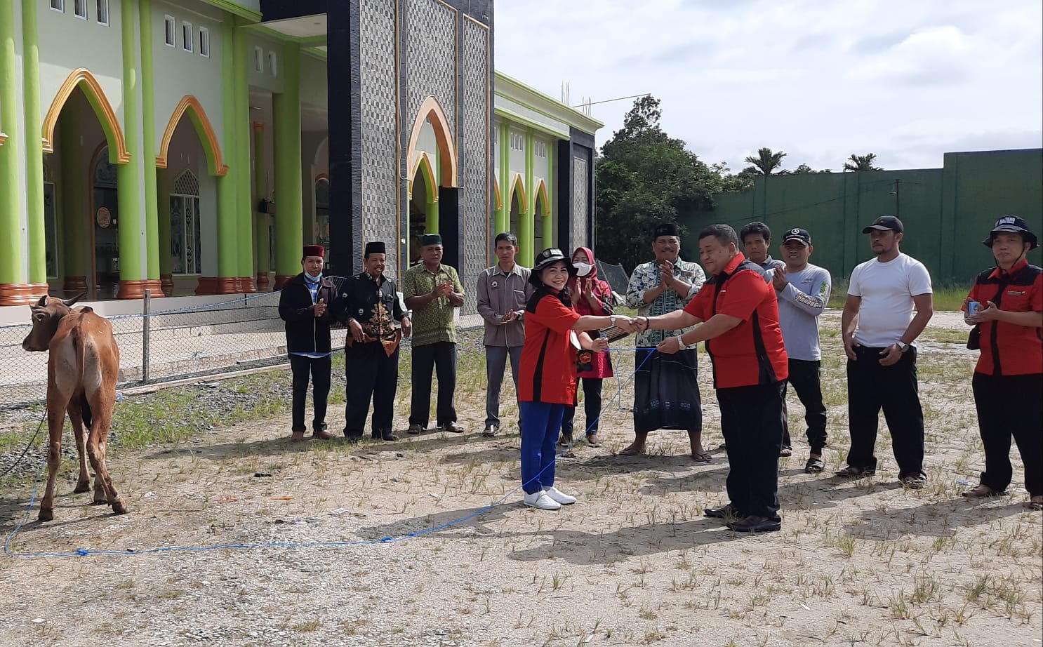 Hibah Hewan Kurban dari Pemprov Kalteng untuk Kabupaten Gunung Mas Diserahkan Plt. Kepala BKAD Daldin
