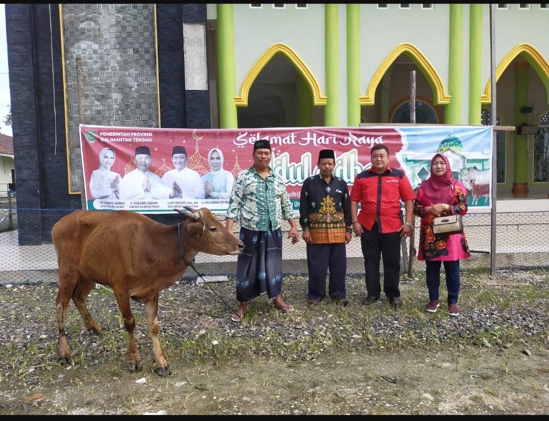 Hibah Hewan Kurban dari Pemprov Kalteng untuk Kabupaten Gunung Mas Diserahkan Plt. Kepala BKAD Daldin