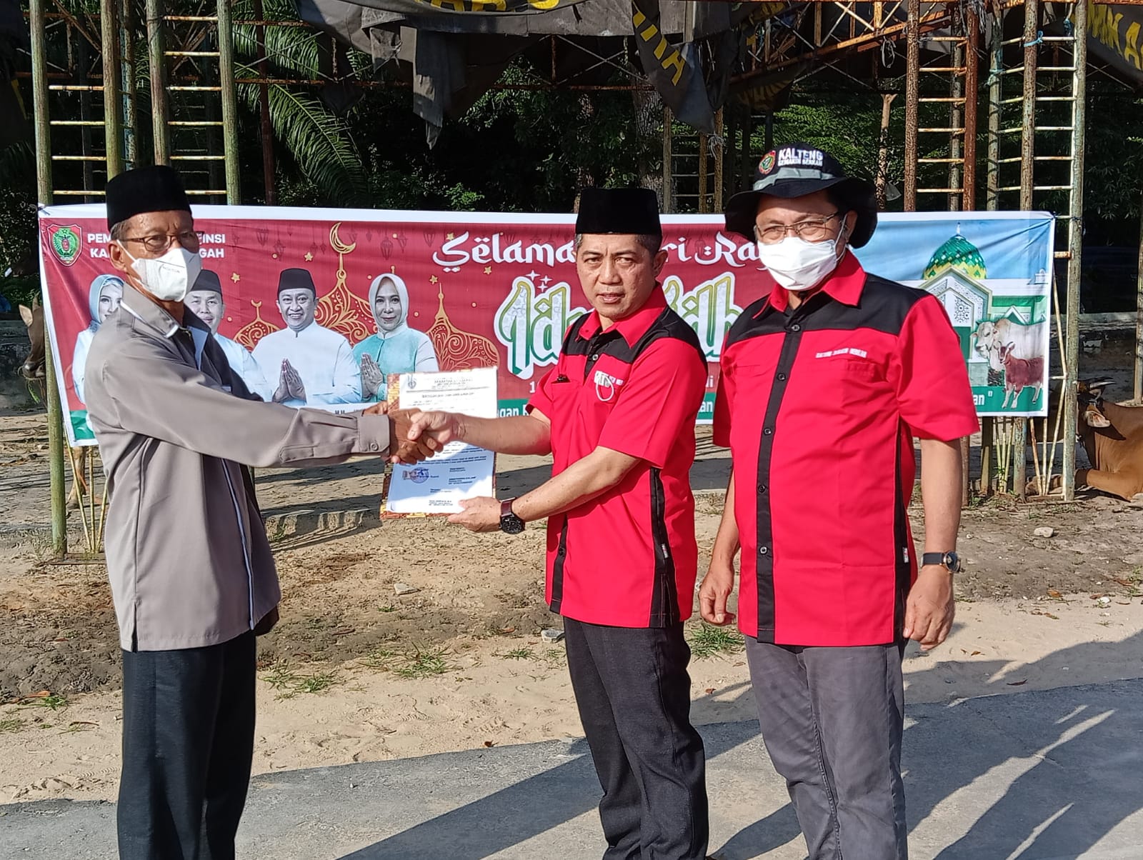 Jelang Iduladha, Pemprov Kalteng Salurkan Bantuan 30 Ekor Hewan Kurban di Kabupaten Sukamara