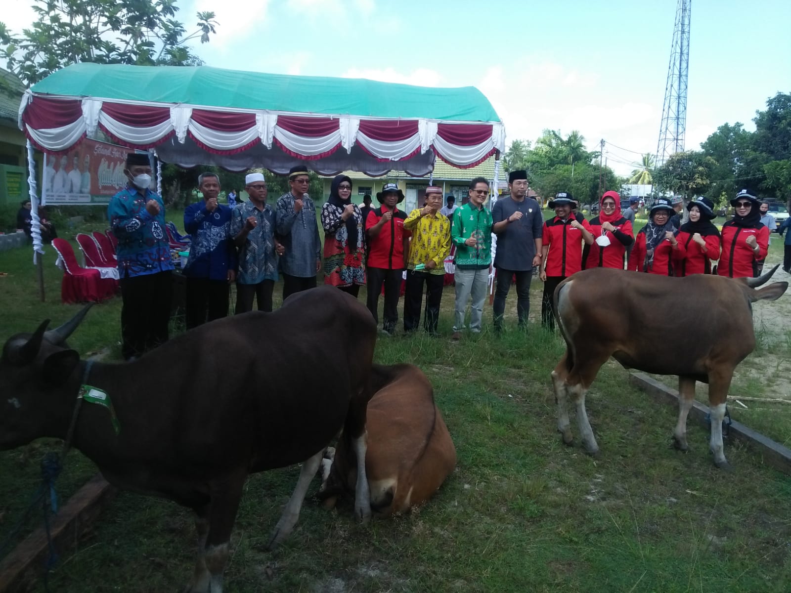 Gubernur Kalteng Salurkan Bantuan Hewan Kurban Sebanyak 77 Ekor Sapi untuk Kabupaten Kapuas 