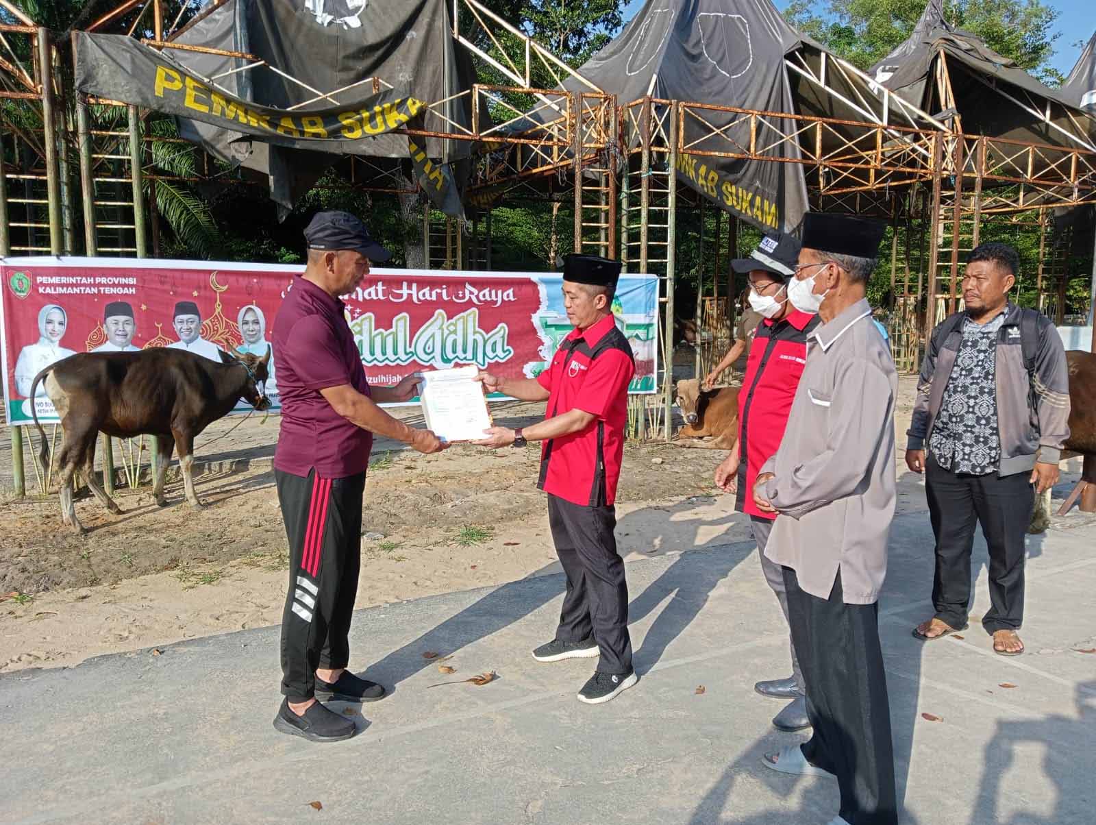 Jelang Iduladha, Pemprov Kalteng Salurkan Bantuan 30 Ekor Hewan Kurban di Kabupaten Sukamara