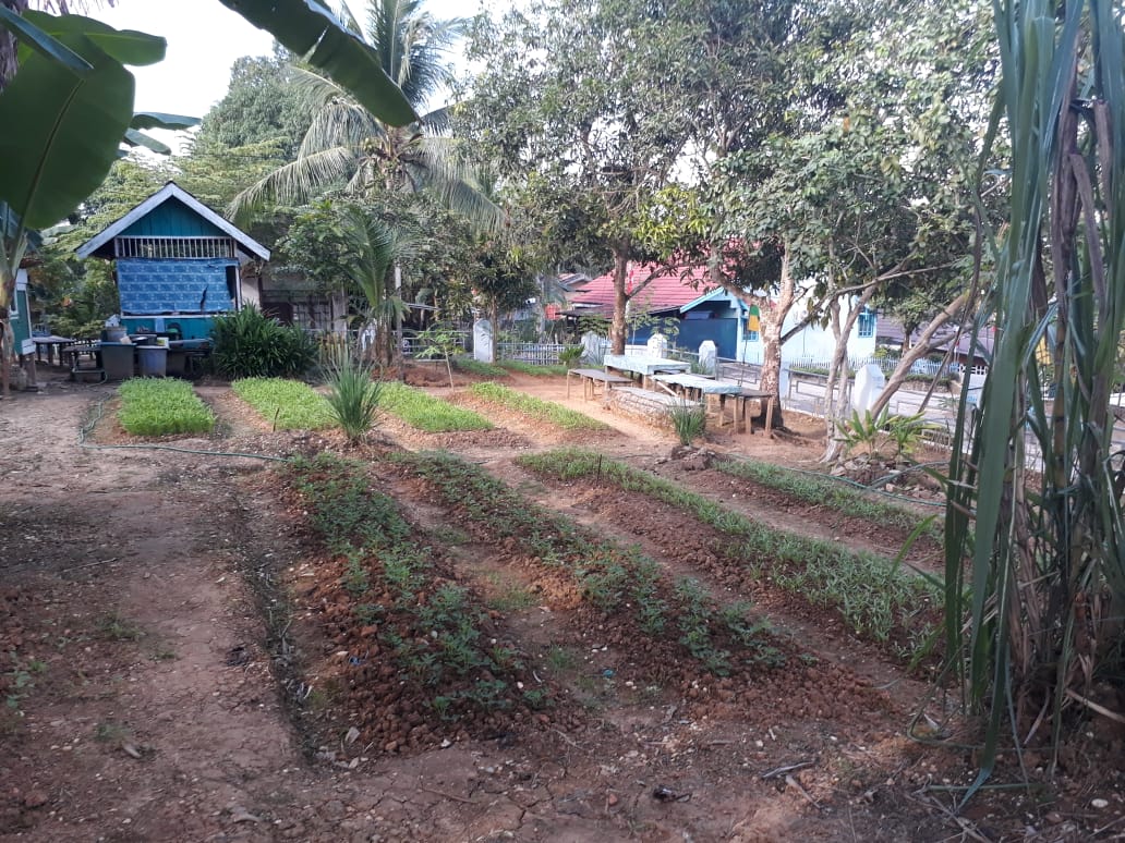 Lapas Muara Teweh Hijaukan Lahan Kosong Dengan Tanaman Sayur Sayuran 