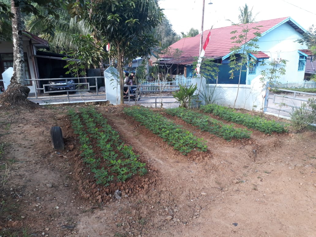 Lapas Muara Teweh Hijaukan Lahan Kosong Dengan Tanaman Sayur Sayuran 