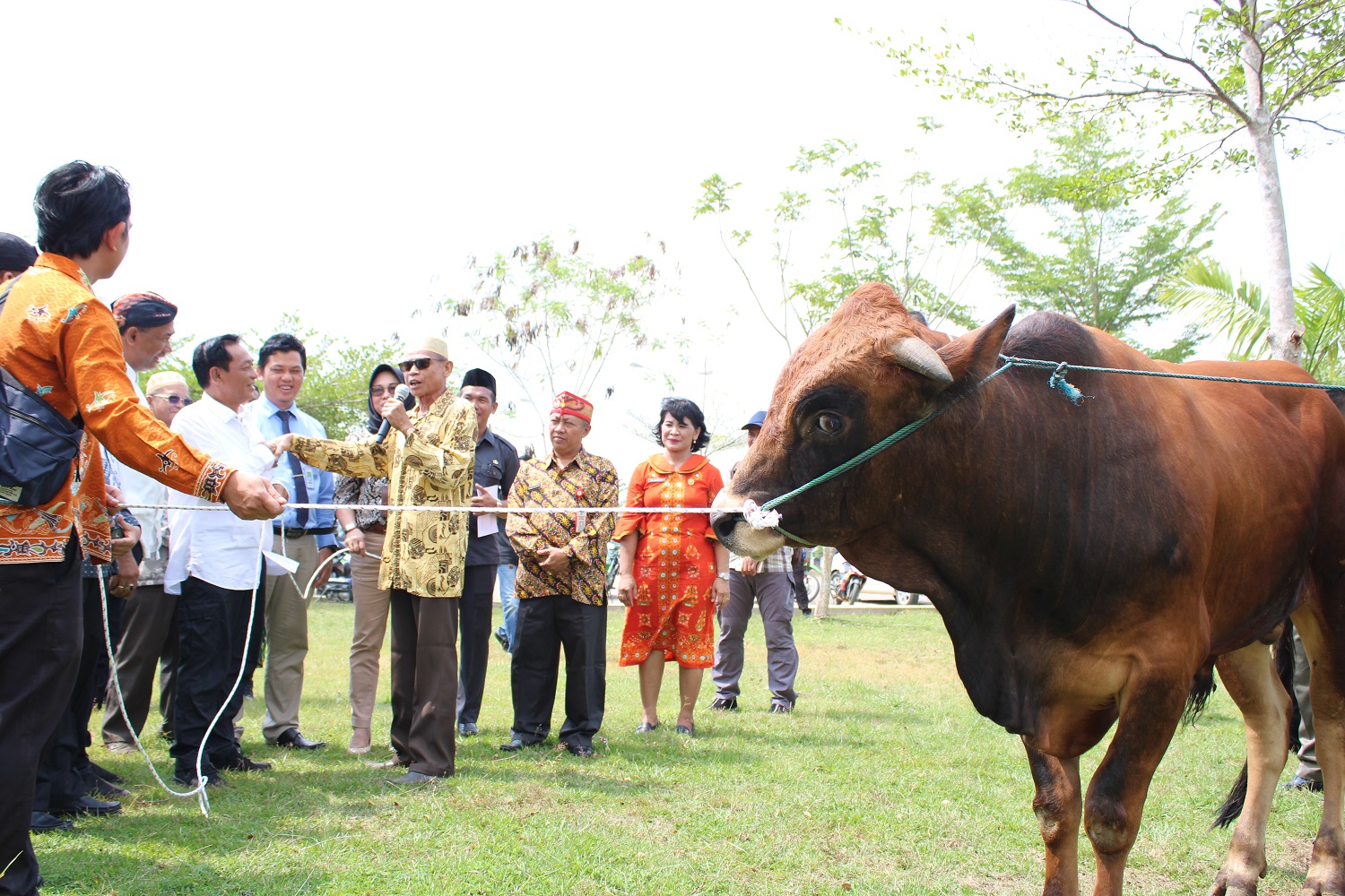 Pemkab Murung Raya Mendistribusikan Hewan Kurban Kesejumlah Kecamatan/Desa