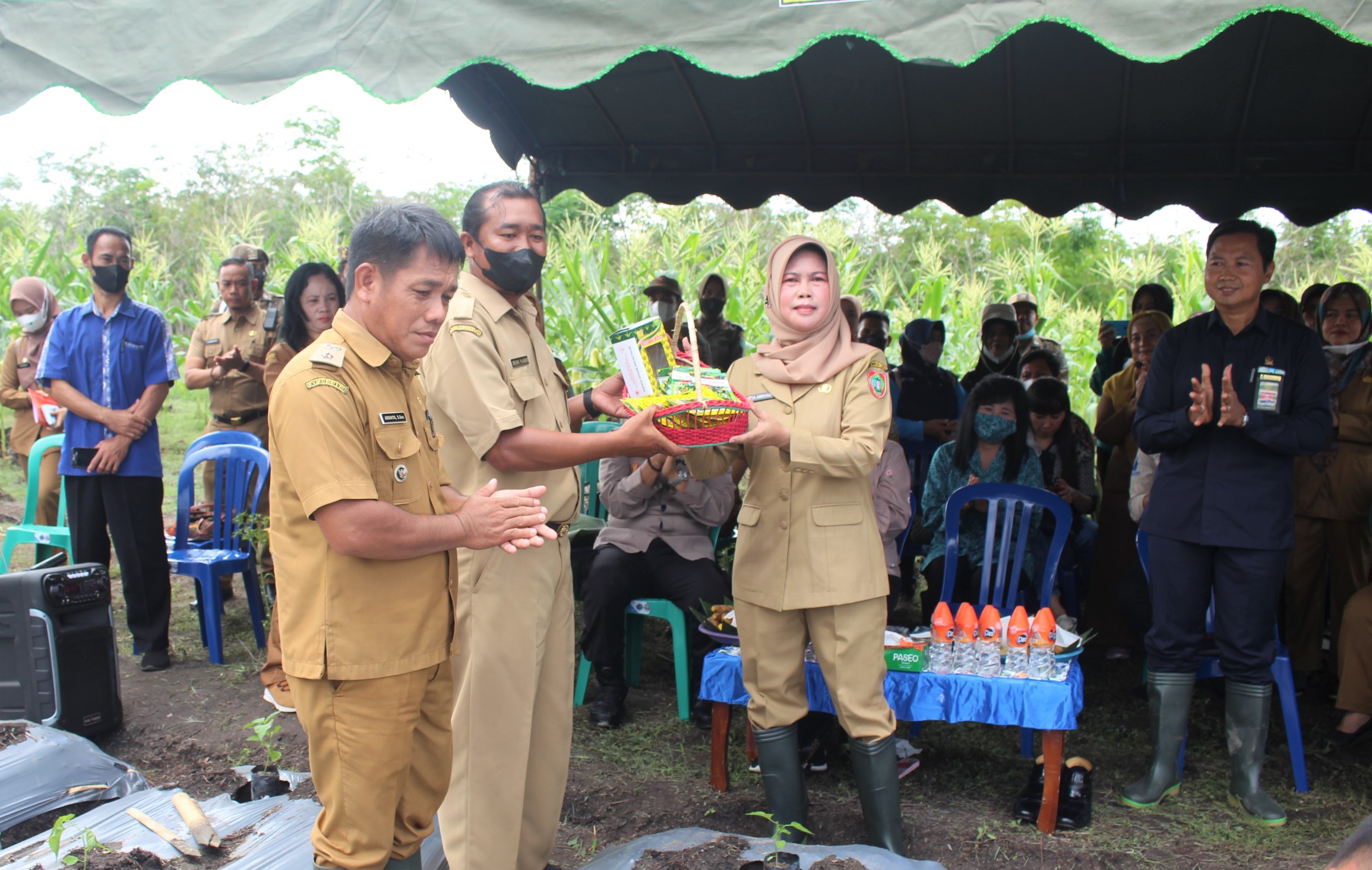 Pj. Bupati Barsel Gelar Pencanangan Gerakan Menanam Cabai di Pekarangan dan Polybag