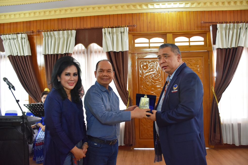 Bupati Sambut Wakil Ketua Umum Partai Nasdem
