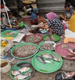 Sajikan Ikan Lokal di Meja Makan Demi Generasi Kalteng yang Membanggakan 