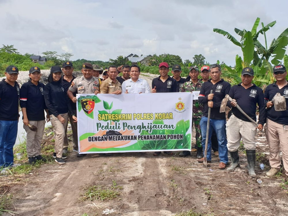 Peroleh Bibit Eucalyptus Dari DLH Kobar, Kelurahan Madurejo bersama Satreskrim Polres Kobar Lakukan Aksi Peduli Penghijauan