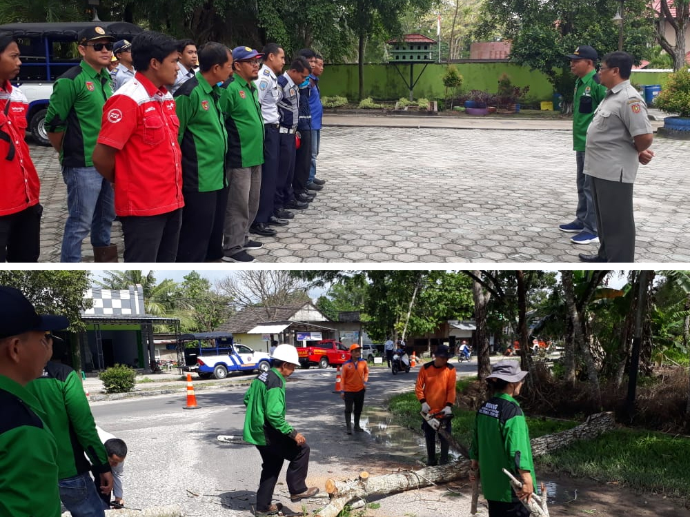 Kegiatan Terpadu Pemangkasan Pohon Pada RTH Dalam Kota Pangkalan Bun