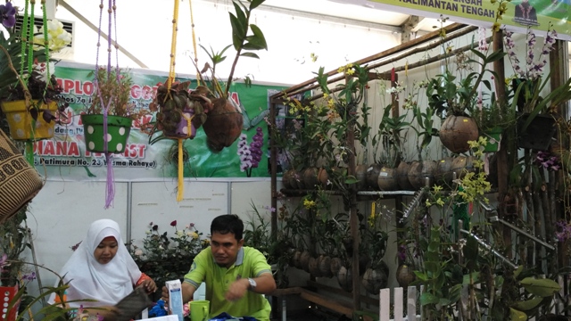 Kalimantan Tengah Kaya Akan Berbagai Jenis Anggrek