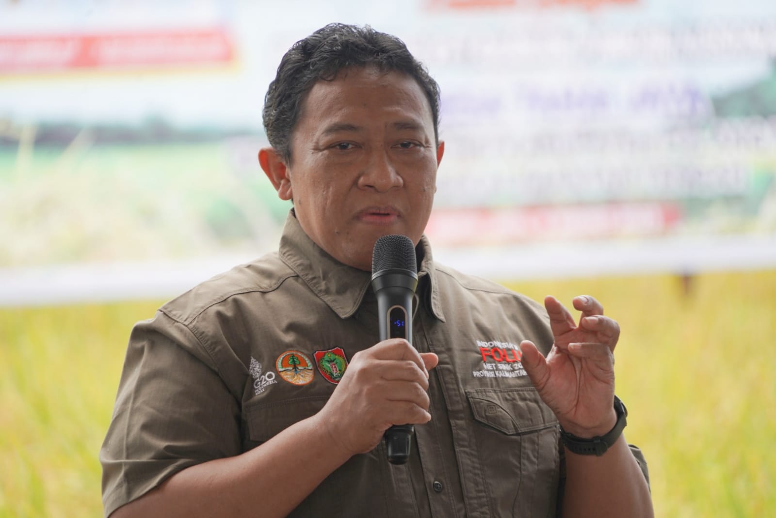 Wakil Gubernur Kalteng Panen Padi Nusantara di Desa Tahai Jaya, Kabupaten Pulang Pisau