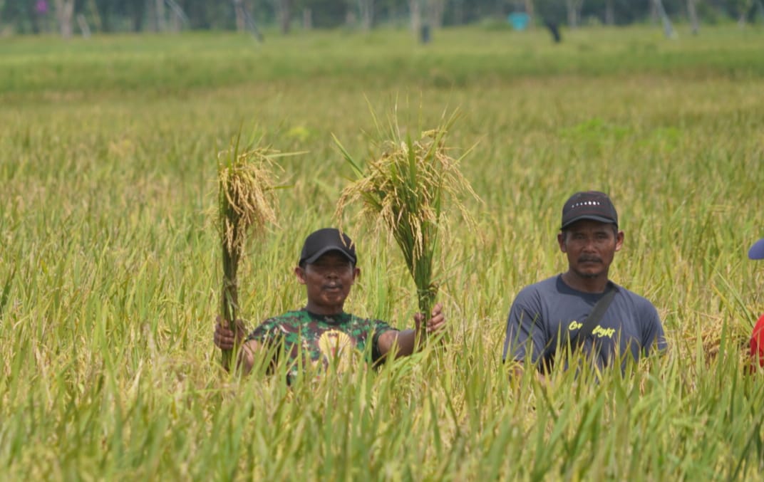 Wakil Gubernur Kalteng Serahkan Bantuan Combine Harvester dan Power Thresher Untuk Poktan Pulang Pisau