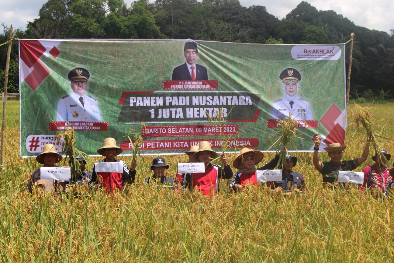 Panen Padi Nusantara, Pj. Bupati Barsel Harapkan Pembangunan Pertanian Terarah dan Tersentra