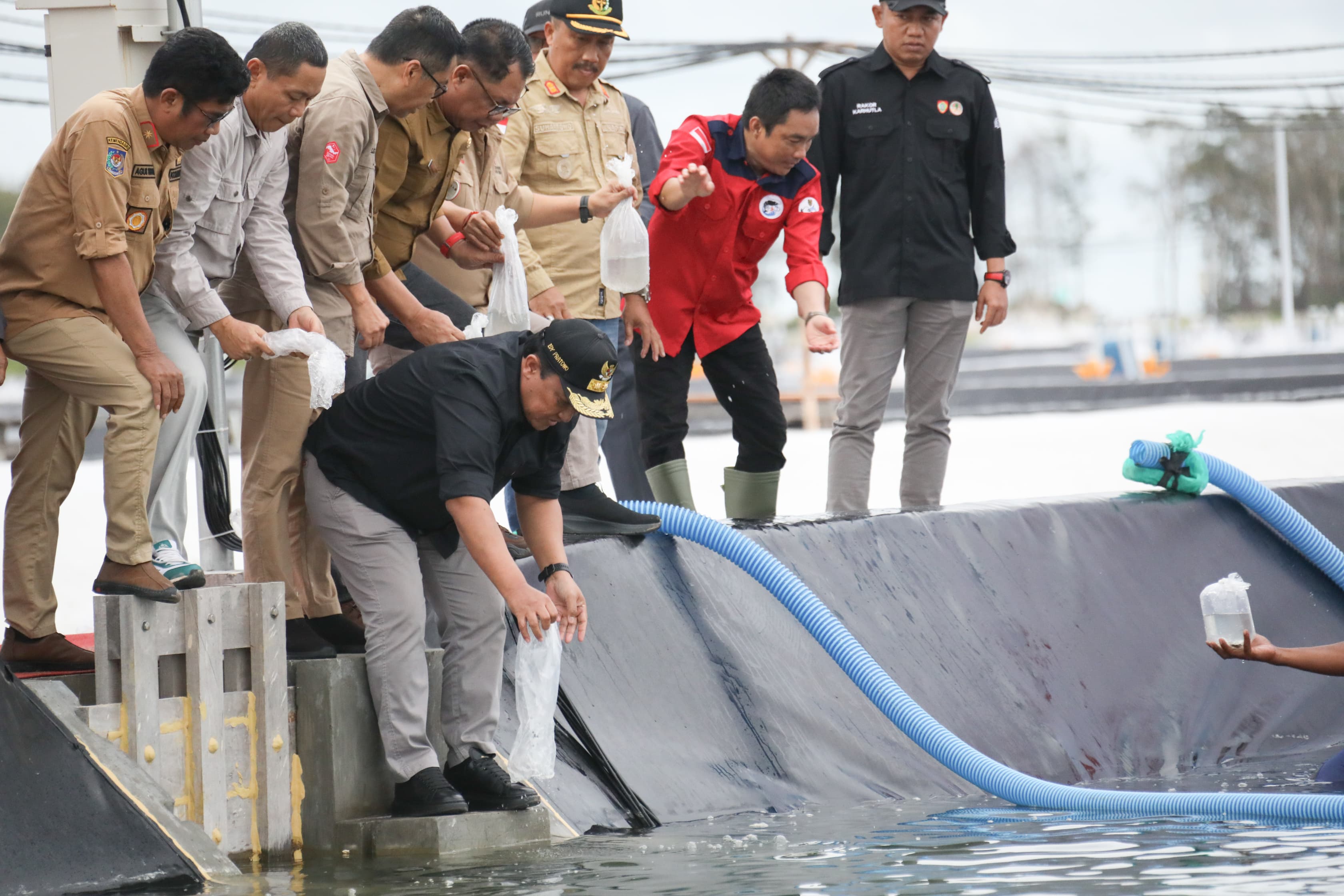 Wakil Gubernur Kalteng Edy Pratowo Lakukan Tebar Perdana Benur Udang Vaname di Kawasan Tambak Udang/Shrimp Estate BERKAH