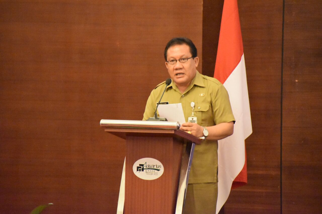 Rakor Penyusunan Disagregasi PMTB Prov. Kalteng Tahun 2018