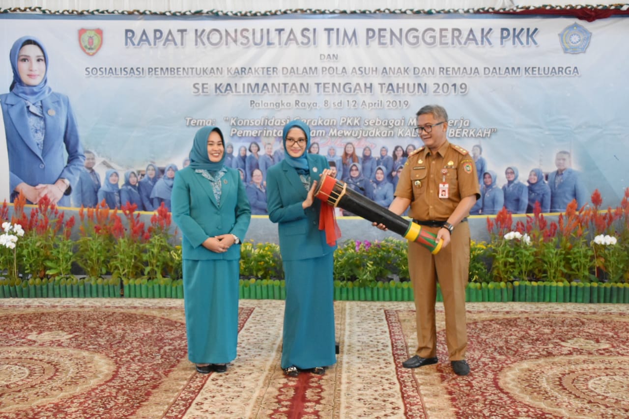 Gubernur : TP-PKK Adalah Mitra Kerja Pemerintah 