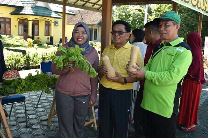 Setahun Dikembangkan, Budidaya Hortikultura Kobar Tumbuh Pesat 