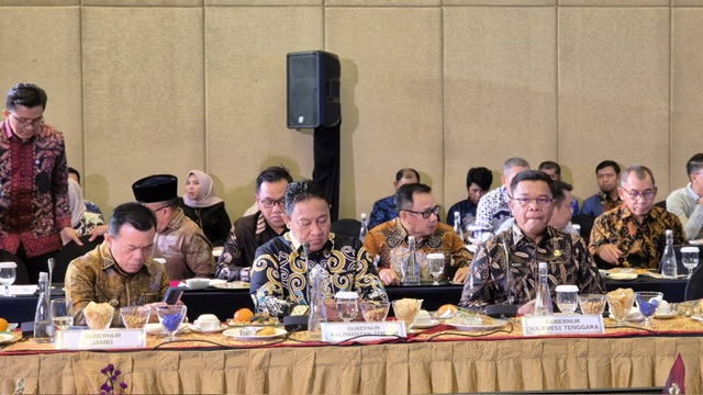 Wagub Kalteng Dorong Pemerintah Pusat Wujudkan Pembagian DBH SDA yang Adil untuk Percepatan Pembangunan Daerah
