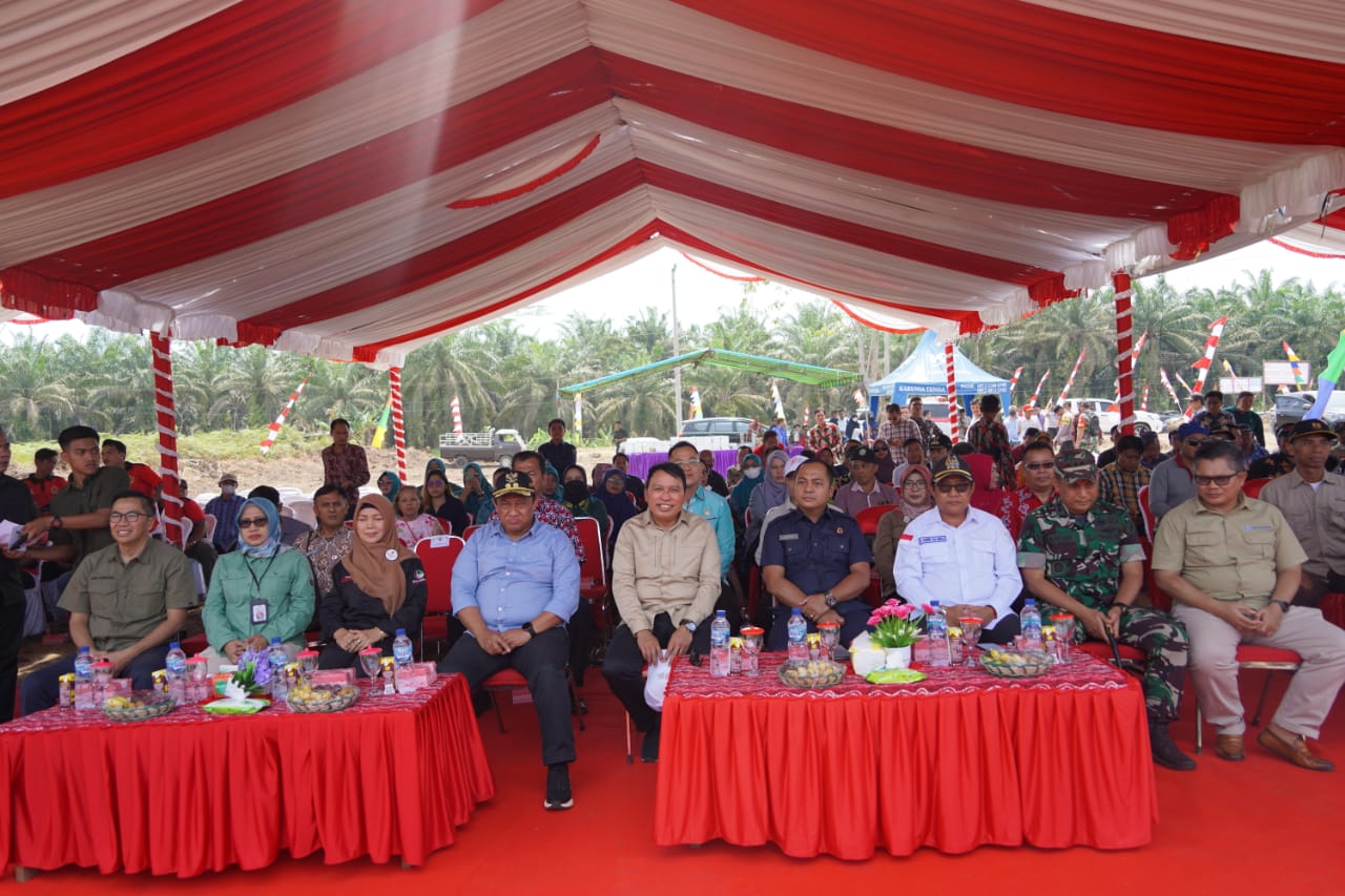 Wagub Kalteng Edy Pratowo Harapkan Penyediaan Pakan Ternak Berkualitas