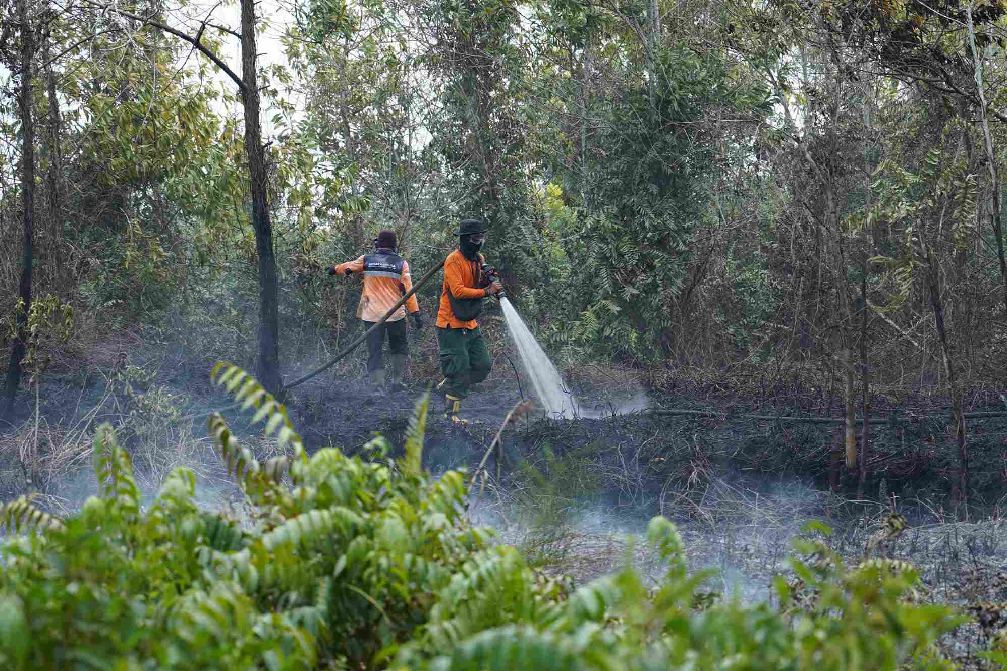 BPB-PK Kalteng Kerahkan 6 Helikopter dan Pesawat OMC Antisipasi Meluasnya Karhutla