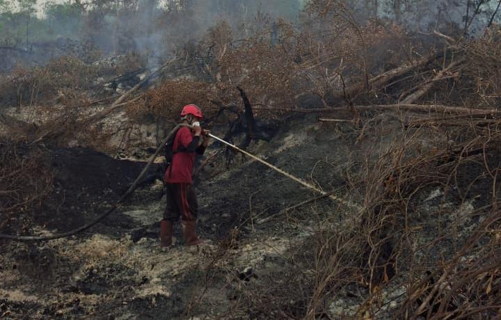 BPB-PK Kalteng Perkuat Pasukan Darat dan Armada Udara Atasi Karhutla